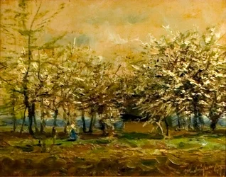 Arboleda en flor